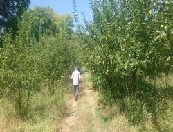 Yalova da Taksitle Bahçe Satışları Başladı